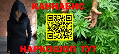 индика Бийск