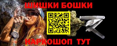 индика Бийск