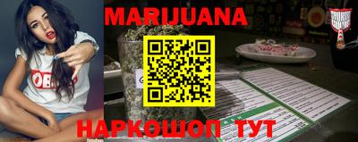 индика Бийск