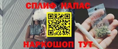 индика Бийск
