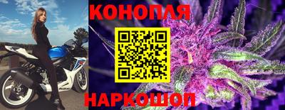 индика Бийск