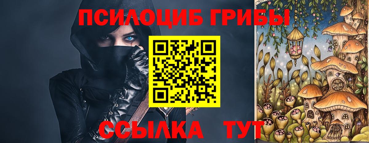 Зеленодольск  Псилоцибиновые грибы MAGIC MUSHROOMS  Вход с VPN 