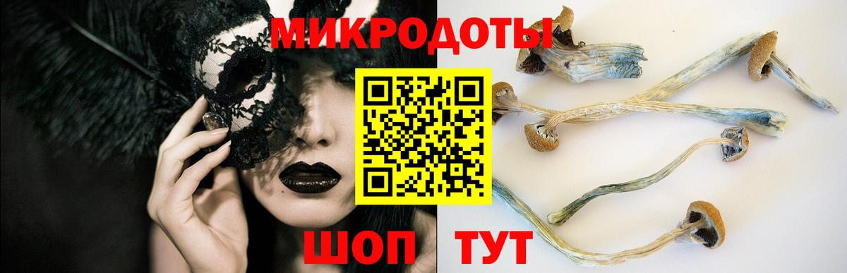 Псилоцибиновые грибы прущие грибы Зеленодольск